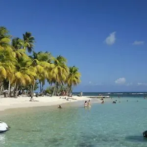 bienvenu-corail-plage-accessible-pied.comcaribbean.com/